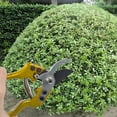 thumbnail image 7 of EXLEAF 2026 New 8.46-Inch Pruning Shears, Thick Branch Tree Trimmer Tree Pruner Gardening Pruning Scissors for Cutting Flowers Trimming Plants of Yard Hedge Bonsai-Gold, 7 of 7