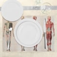 thumbnail image 3 of Ambesonne Vintage Place Mats Set of 4, Anatomy Human Body, Standard Size, Ruby Cream, 3 of 6