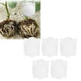thumbnail image 4 of Plant Growing Box, Grafting Box, High-quality Reusable For Vegetable Cultivation Greenhouse Plant Rooting Device Plant White, 4 of 8