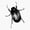 1pcs, variant on June Bug Nature Inspired Sticker