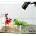 thumbnail image 4 of Reptile Warmer Mat Under Tank Heater with Temperature Controller, 4 of 7