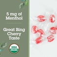 thumbnail image 3 of (Pack Of 6) Quantum Lozenges CGH Relief Cherry 18 Each, 3 of 4