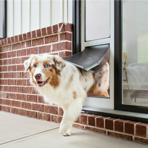 PetSafe Extreme Weather Sliding Glass Pet Door, Perfect for Rental Homes, Adjustable, L