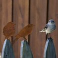 thumbnail image 4 of Adorno decorativo para jardín con efecto óxido, 4 pájaros de metal con tornillos, silueta de pájaro para decoración de jardín, adorno de metal para jardín con pátina de efecto óxido, adorno, 4 of 5