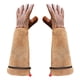 thumbnail image 1 of par de guantes de jardinería, guantes resistentes a las espinas de poda de rosas, guantes de jardinería para mascotas de flores, 1 of 5
