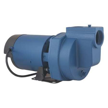 FLINT & WALLING SP10P1 Sprinkler Pump,Thermo Plastic,1 HP G0462710 by FLINT & WALLING