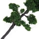 thumbnail image 4 of 2 Unids Modelo de árbol de Olmo Olmo + Pino de Montaña Paisaje de Construcción, 4 of 9