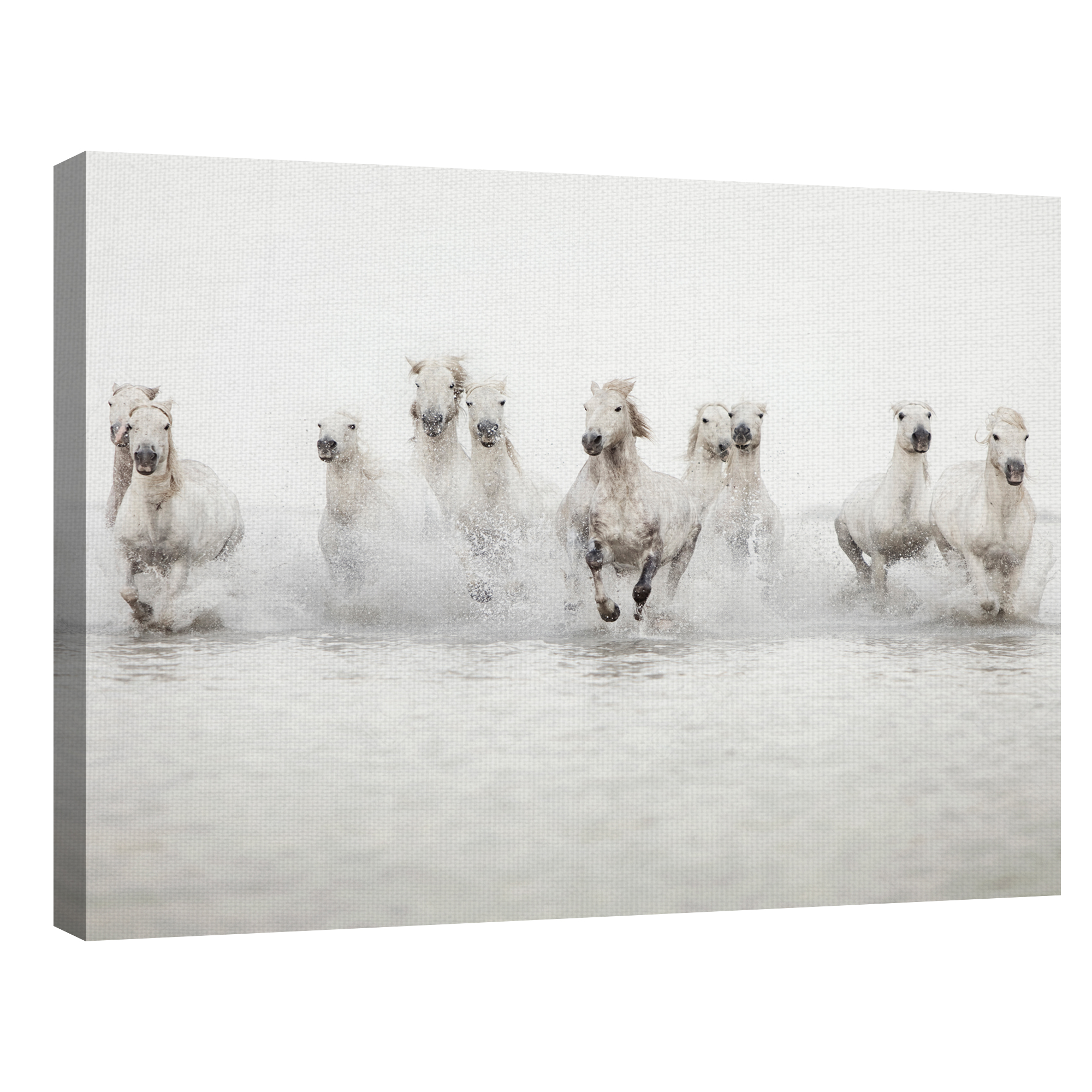 White Horses by Irene Suchocki Running Wild Horses Photo Canvas Art