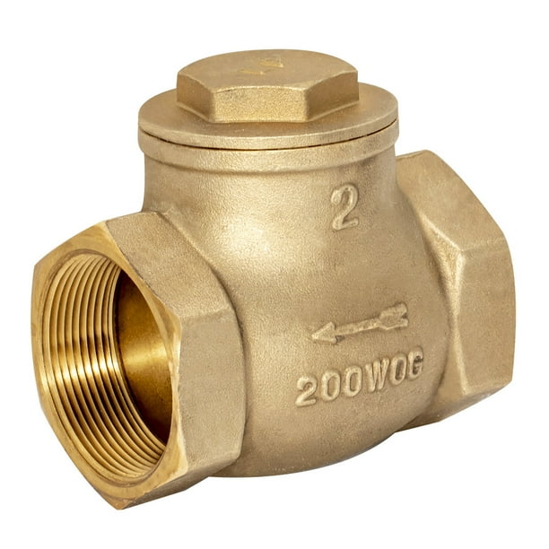 EZFLO 20431LF Swing Check Valve, 2 inch IPS, Brass