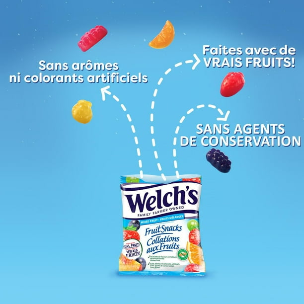 Dog ate welch's fruit snacks 2025
