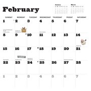 Grumpy Cat 2026 Wall Calendar, (Paperback)
