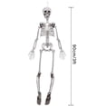 thumbnail image 5 of Esqueleto de Halloween Zhivalor Cuerpo completo Modelo de esqueleto con articulaciones móviles 90 cm, 5 of 5
