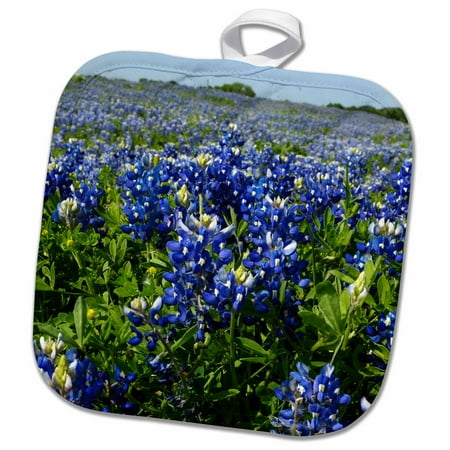 3dRose Bluebonnets, Freyburg, Texas - US44 FVI0007 - Franklin Viola - Pot Holder, 8 by