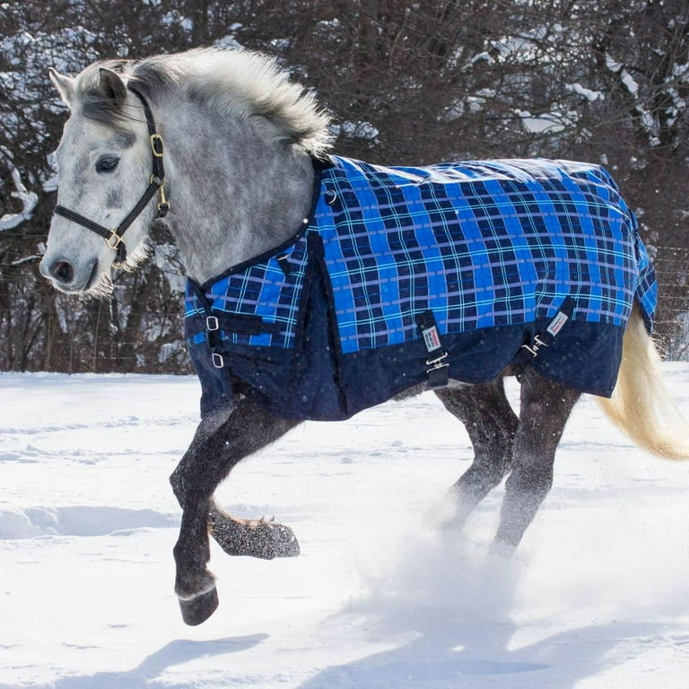 Dura-Tech Viking Classic Heavy Weight Horse Turnout Blanket | Blue
