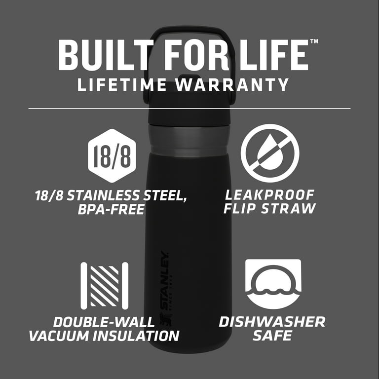 STANLEY 22 oz Gray and Silver Insulated Stainless Steel Water