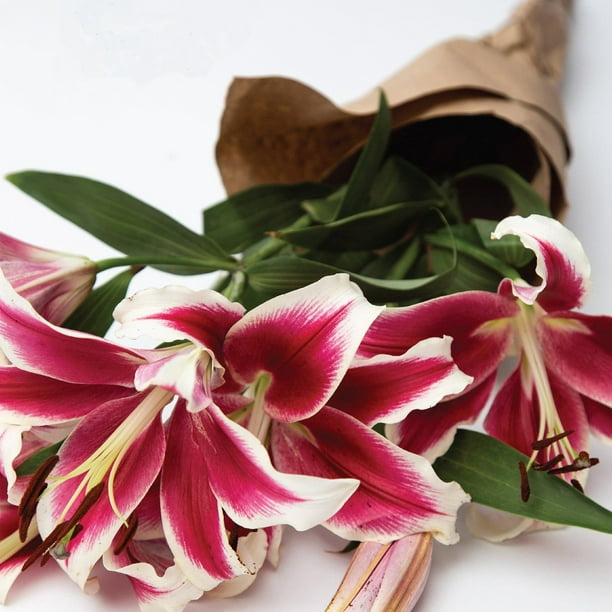 Member's Mark Super Select Oriental Lily, 5 stems - Samsclub.com