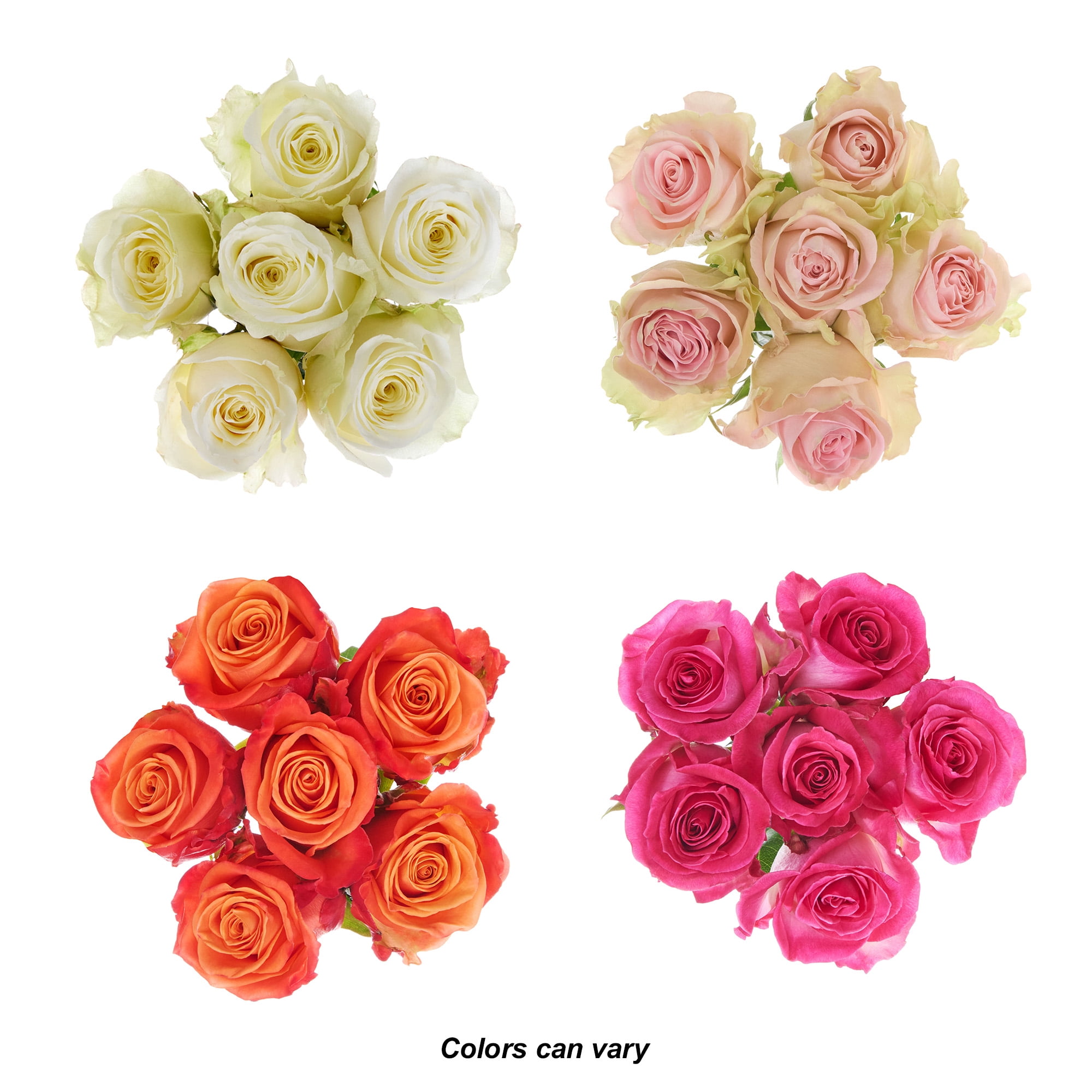 Assorted Color Roses 6 Stem, Colors May Vary
