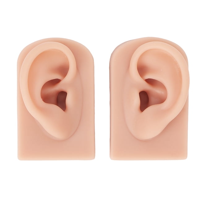 Soft Silicone Ear Model, Practice Ear Model Stretchy 1 Pair Reusable Versatile For School For Teacher Light Skin Color,Medium Skin Color,Dark Skin Color