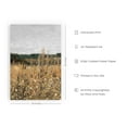 thumbnail image 2 of HAUS AND HUES Vintage Botanical Prints - Field Vintage Print Modern Farmhouse Decor Ideal for Farmhouse Bedroom Wall Decor, Farmhouse Prints for Modern Vintage and Rustic Home Decor (24x36 Unframed), 2 of 6