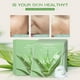 thumbnail image 5 of Mascarillas de Aloe Vera en Pasta (10 Unidades), Crema Facial Hidratante y Nutritiva con Ingredientes Vegetales y Frutales, 5 of 7