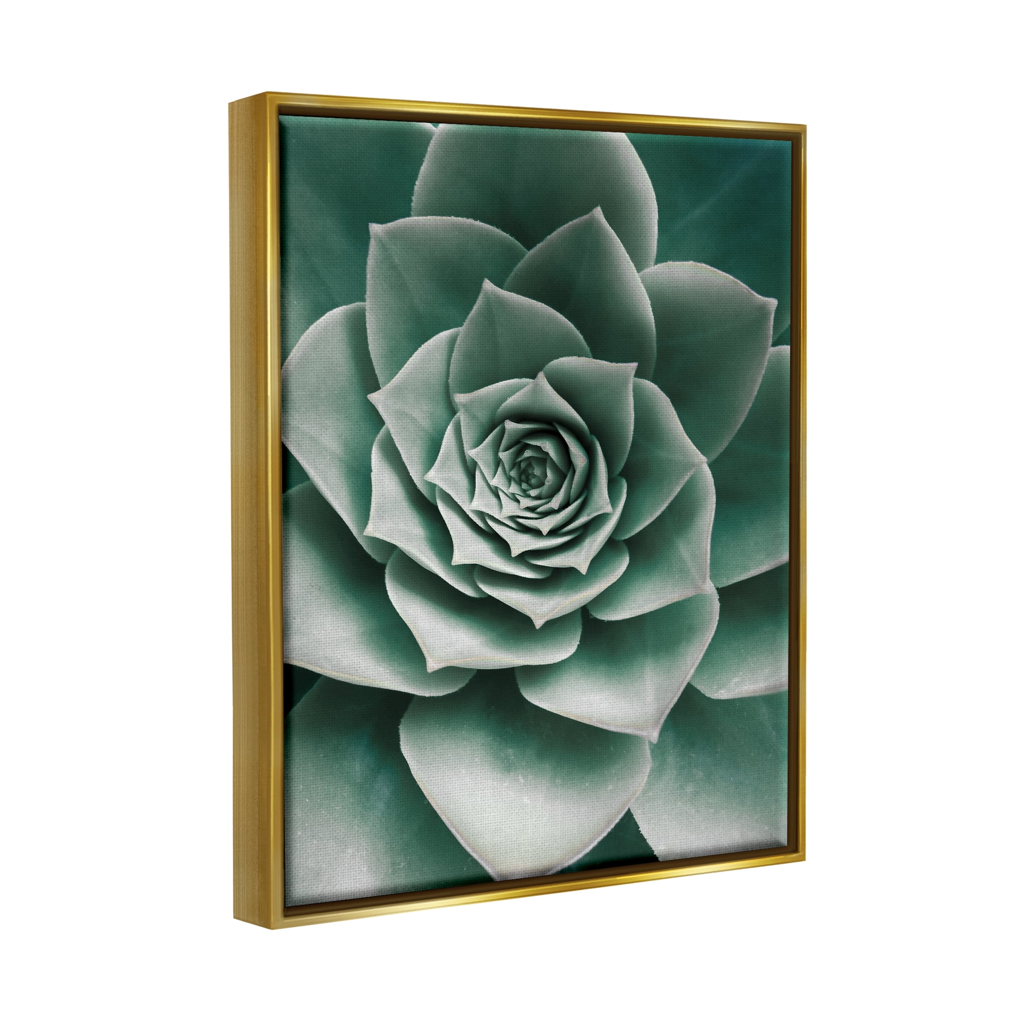 Stupell Industries Green Succulent Photography Botanical & Floral Photography Gold Floater Framed Art Print Wall Art, 25 x 31