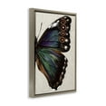 thumbnail image 4 of Stupell Industries Classic Butterfly Wing Animals & Insects Painting Brown Floater Framed Canvas Art Print Wall Art, 17 x 25, 4 of 10