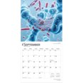 thumbnail image 4 of Microscopic World of Innerspace | 2026 12x24" (Hanging) Wall Calendar | BrownTrout, 4 of 9