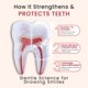 thumbnail image 2 of Pasta dental Fawelo LOL Kids con nano hidroxiapatita y canela, 2 of 9