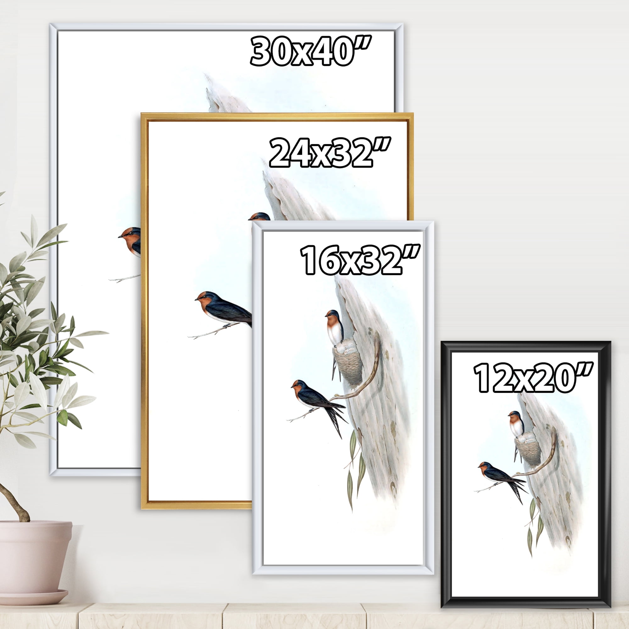 Ancient Australian Bird Illustrations II 24 in x 32 in Framed Painting Canvas Art Print, by Designart