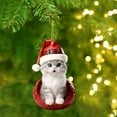 thumbnail image 4 of Personalized Christmas Cat Ornaments, 2D Flat Shatterproof Cat Christmas Hangings Decoration, Cute Christmas Tree Cats Hanging Decorations for Indoor Home/Party/Mantel/Car (D), 4 of 7