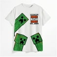 thumbnail image 5 of Minecraft Boy's Short Sleeve T-Shirt 4-Pack - Creeper, Skeleton, Zombie Graphic Tee Set for Kids (Sizes 4-16), 5 of 15