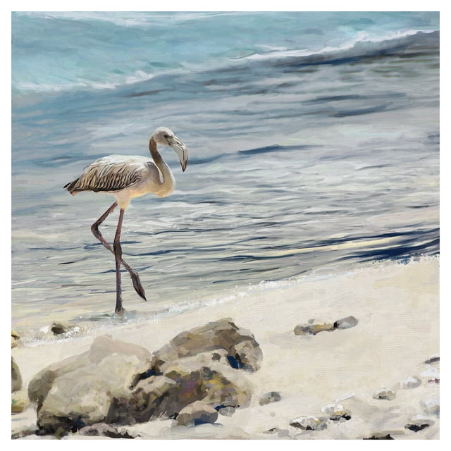 Cuadros Decorativos Jr Aves playeras Canvas
