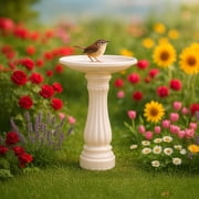 Union Products 17 Round Bird Bath, Outdoor Lawn and Garden Accessories, White