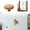 C, variant on TIELUTT Your Cabinets with Stone Pebble Shaped Drawer Pulls – Durable and Easy To Install! Brass Bunny Head Stick on Brass Plaque Max Fan Control Board Hangar Door Hardware Closet Hook