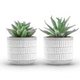 thumbnail image 1 of Set de plantas suculentas artificiales Der Rose para decoración del hogar, 1 of 7