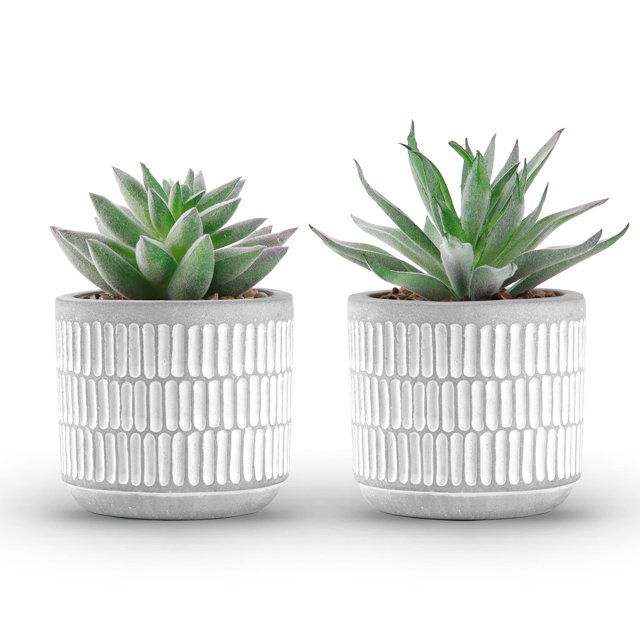 Set de plantas suculentas artificiales Der Rose para decoración del hogar