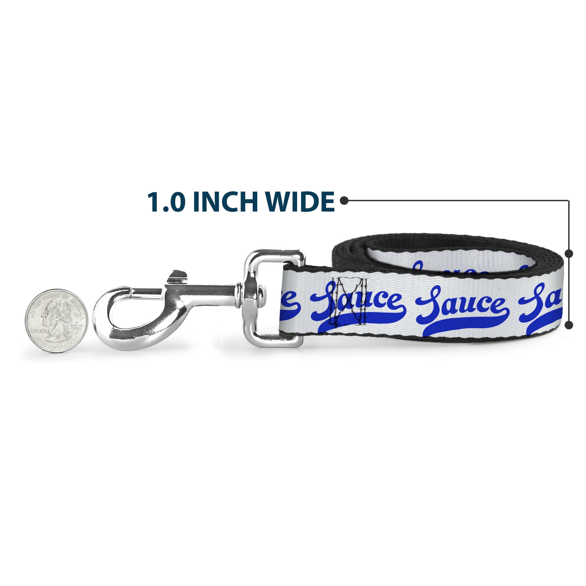 Buckle-Down Pet Leash, Dog Leash, Sauce Baseball Script White Blue, 6 Feet Long 1.0 Inch Wide