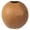 Natural, variant on Vickerman 6-7"H x 6-8"W Natural Bacacuia Gourd, Set of 3, Dried