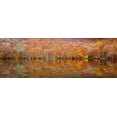thumbnail image 2 of Shibata, Sho 24x11 Black Ornate Wood Framed with Double Matting Museum Art Print Titled - glowing autumn, 2 of 4