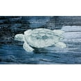 thumbnail image 2 of Phillip, Jamie 14x10 White Modern Wood Framed Museum Art Print Titled - Trutle, 2 of 4