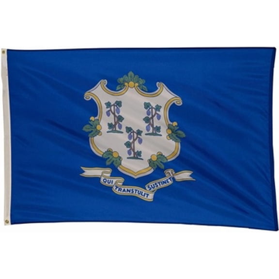 3x5' POLYWAVEZ CONNECTICUT POLY II FLAG CH&G