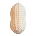 thumbnail image 2 of Peanut Shaped Silicone Sensory Fidget, Squishy Dumpling Stress Relief Toys, Desk Fidget ToysforHome Office Use, 2 of 6