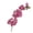 Rose Red, variant on fuxzkrlz Artificial Cherry Blossom Branches 31.5" Faux Long Stem Spring Flowers for Tall Vase Realistic Flower Stems for Home Wedding Easter Table Centerpiece
