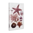 thumbnail image 2 of Stupell Industries Traditional Rosy Undersea Creatures Canvas Art, 16 x 24, by Ramona Murdock, 2 of 7