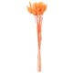 thumbnail image 3 of 60Pcs Fall Dried Flowers Bunny Dried Flowers Lagurus Ovatus Rabbit Tail Grass for Dried Floral(Orange), 3 of 5