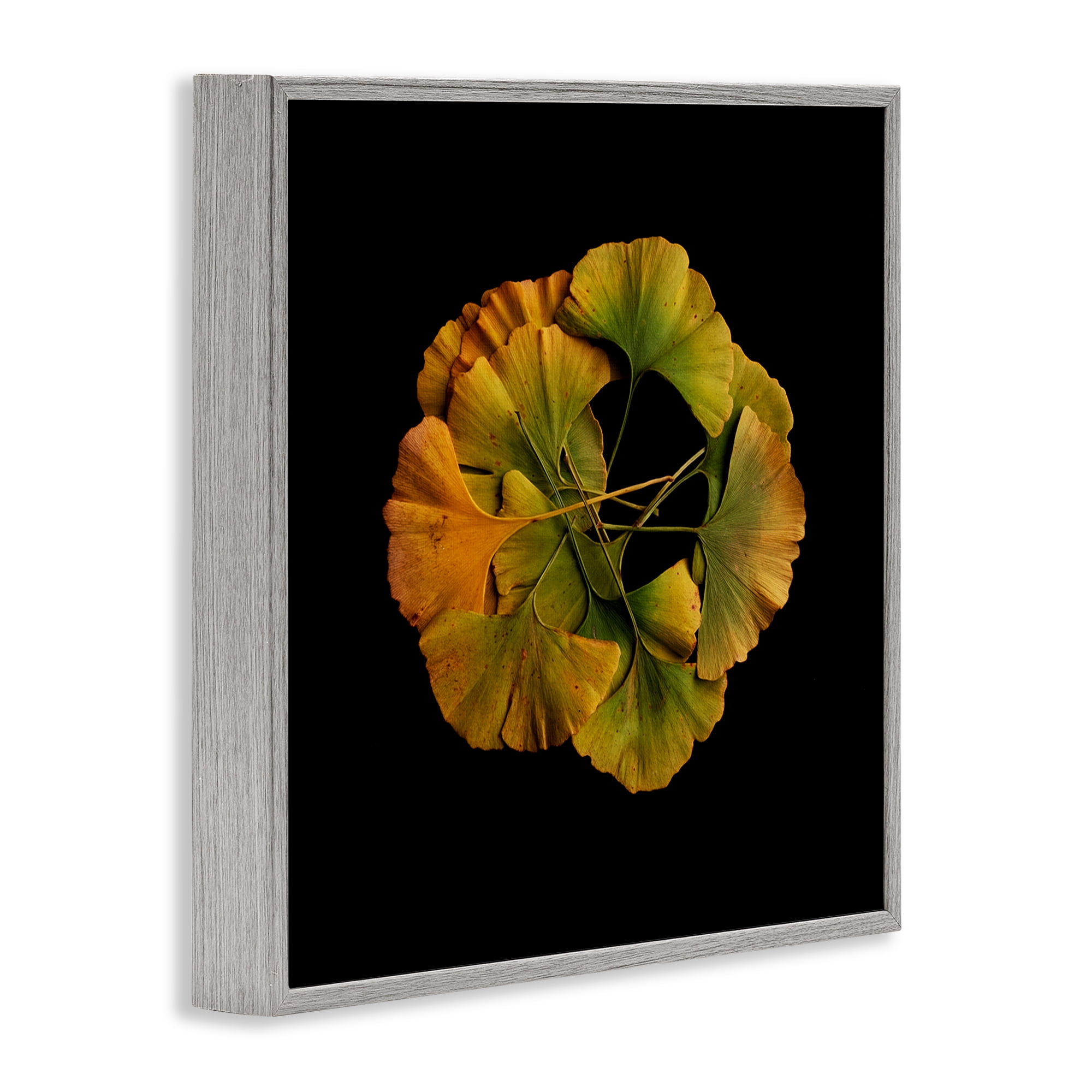 Stupell Industries Overlapping Ginkgo Leaves Gray Framed Giclee Art, design by Beth Adoette