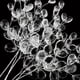thumbnail image 4 of 5/10 piezas de 15 cm de rama de cuentas de cristal acrílico, flores artificiales para hacer peinados, tocados de novia, accesorios de cristal, 4 of 5