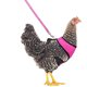 thumbnail image 2 of Yuepet arnés de pollo ajustable con correa elástica cómoda chaleco de gallina YUEPET Ver descripción, 2 of 2