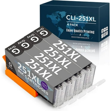 Canon CLI-42LGY Light Gray Ink Cartridge (6391B002) - Walmart.com