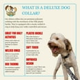 thumbnail image 3 of Country Brook Petz® Phantom Skulls Everyday Dog Collar - Made in the USA, Medium, 3 of 5